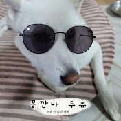 꽁깐나 두유