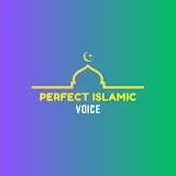 perfect islamic voice