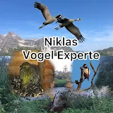 Niklas Vogel Experte