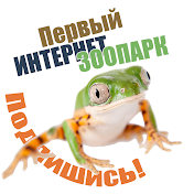 Zoocom Сlub