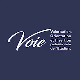 Orientation et Insertion professionnelle (VOIE)