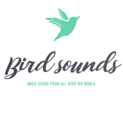 Bird sounds