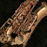 kokorinsax(ここりん)