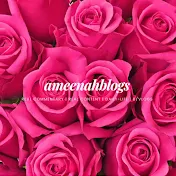 ameenahblogs