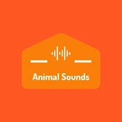 Animal Sounds of the World
