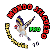 MUNDO JILGUERO PRO 3.0 🐦🏆