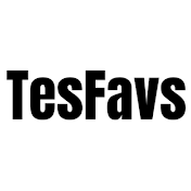 TesFavs - Premium Tesla Accessories