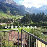 Amina's corner