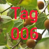 Tag006