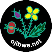 ojibwe.net