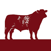 Beef Shorthorn Cattle Society