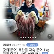 안동맛집 안동문어