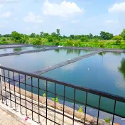 RSM BIOFLOC FISH FARMING TRAINING CENTER