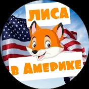 Лиса в Америке