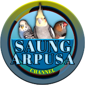 Saung Arpusa Channel