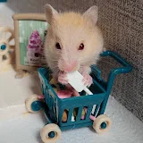 KoKo Hamster