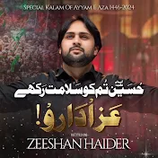 Zeeshan Haider Official