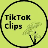 Tiktok Clips