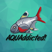 AQUAddicted!