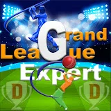 GRAND LEAGUE EXPERT