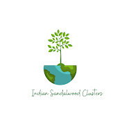 Indian Sandalwood Clusters