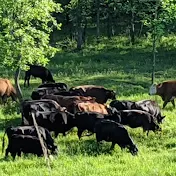 North Pasture Farms GrassFed Meats