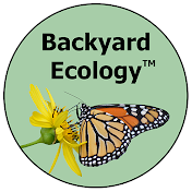 Backyard Ecology™