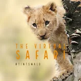 The Virtual Safari @Tintswalo