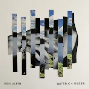 Roni Alter - Topic