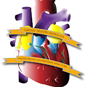 Cardiac Imaging Agorà