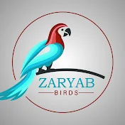 Zaryab Birds
