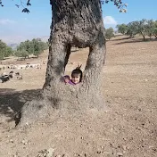 Shelter and nature