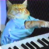 Keyboard Cat!