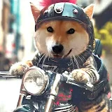 小さなバイク大きなドリームしげやん