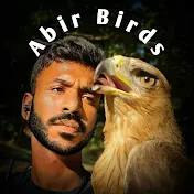 Abir birds new