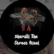 $herdill the street aseel