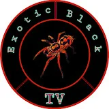 Exotic Black TV