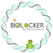 Biolocker