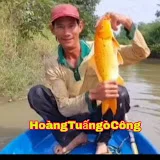 hoàng Tuấn gò công