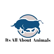 Its All About Animals