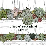 【Olive&Succulentgarden】