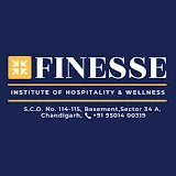 Finesse Institute of Hospitality And Wellness