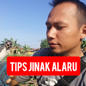 TIPS JINAK ALARU