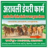 Aamir pathan  aravali dairy gir cow  Kishangarh