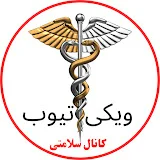 ویکی تیوب