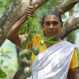 Village Cooking - Kerala