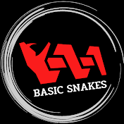 Basic Snakes
