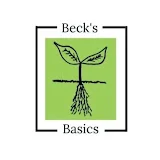 Beck's Basics