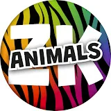 ZeeKay Animals