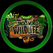 Jack’s World of Wildlife